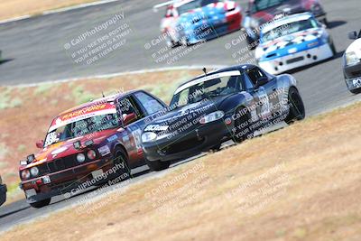 media/May-06-2023-Lucky Dog Racing (Sat) [[8f2256f436]]/Turn 2 10a/